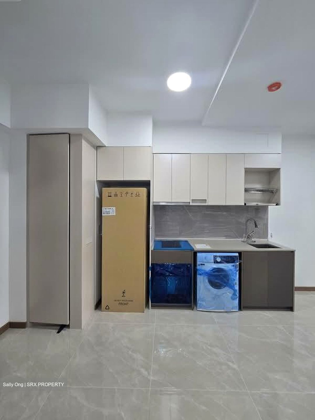 The Botany At Dairy Farm (D23), Condominium #559669101